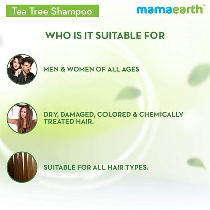 Tea Tree & Ginger Oil shampoo for dandruff control