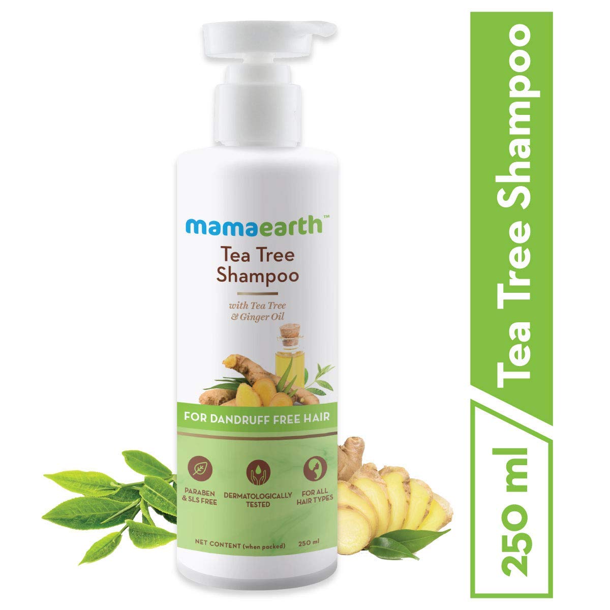 anti dandruff shampoo for men and women